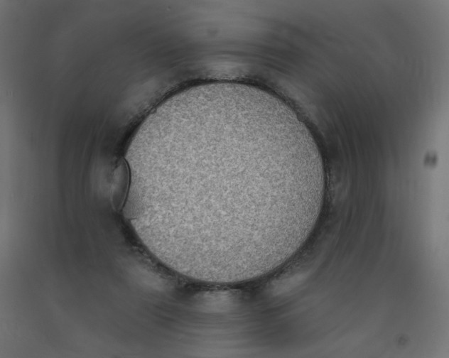 X0000091850307200710031647