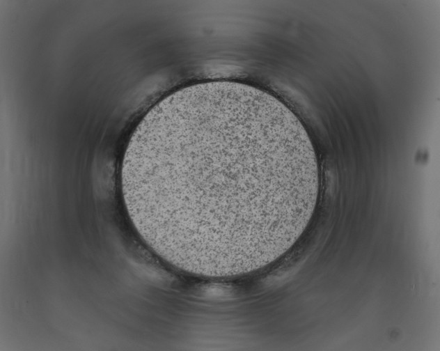 X0000091850308200710031647