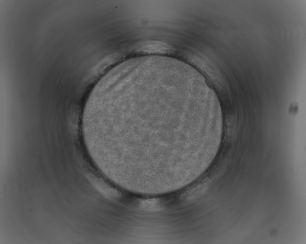 X0000091850309200710031647