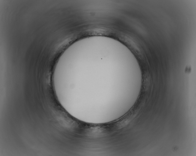 X0000091850310200710031647