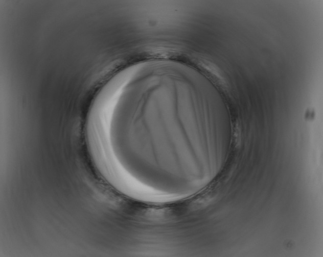 X0000091850314200710031647