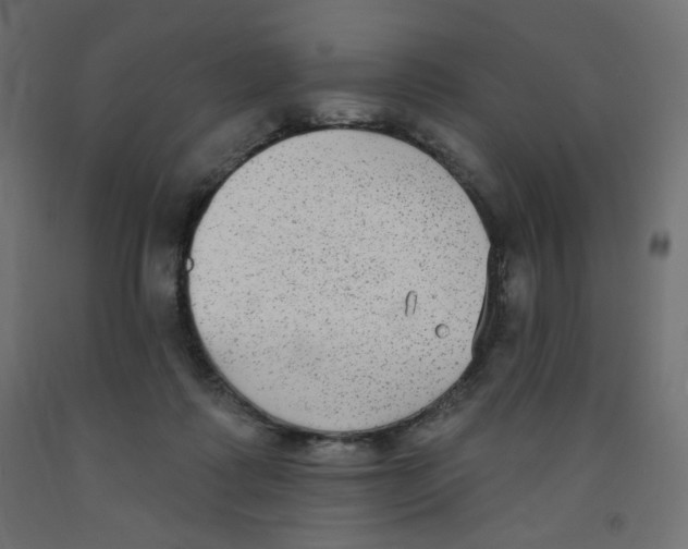 X0000091850315200710031647