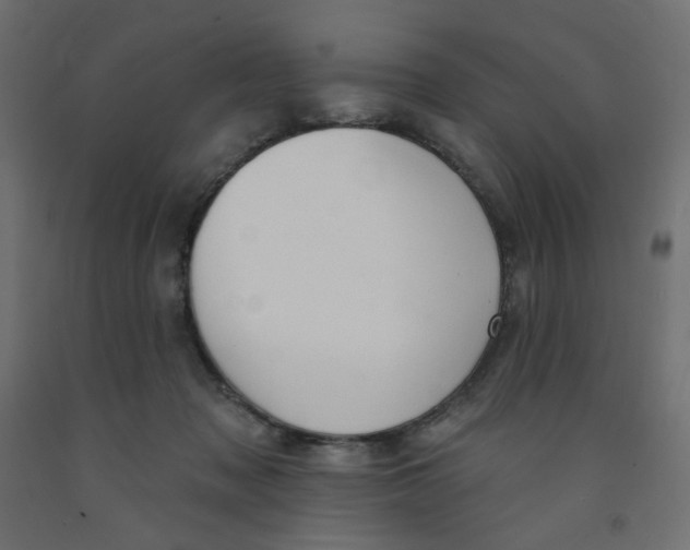 X0000091850317200710031646