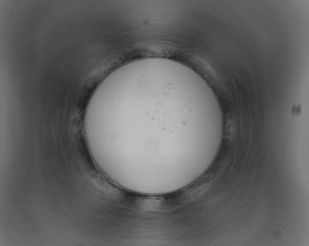 X0000091850318200710031646