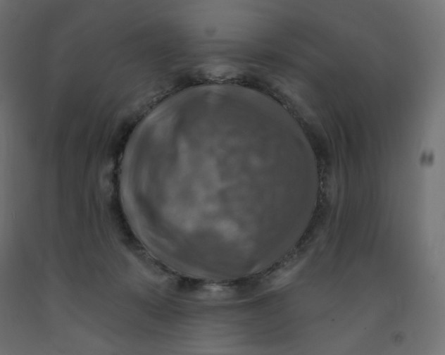 X0000091850319200710031646