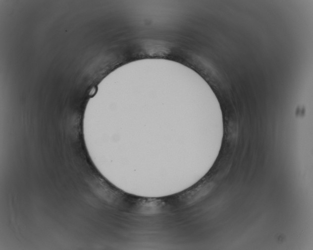 X0000091850321200710031646