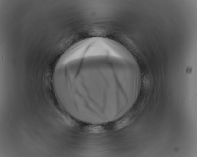 X0000091850322200710031646