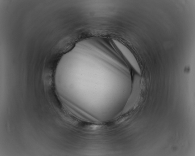X0000091850323200710031646