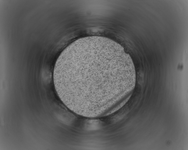 X0000091850324200710031646