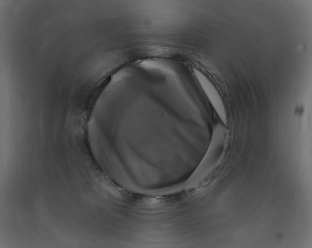 X0000091850325200710031646