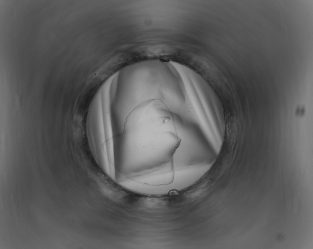 X0000091850327200710031646