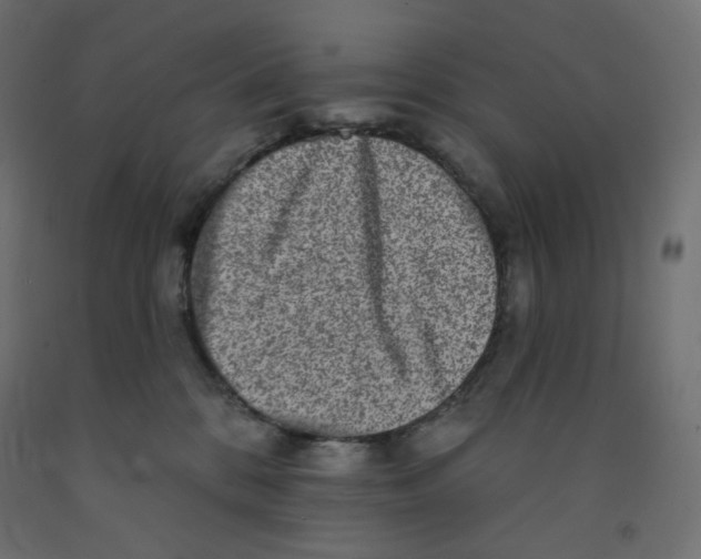 X0000091850328200710031646