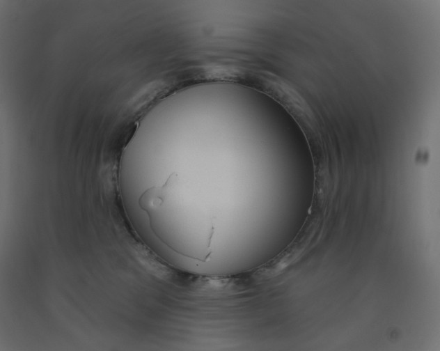 X0000091850329200710031646