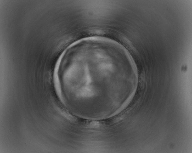 X0000091850330200710031646