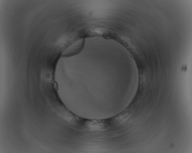 X0000091850331200710031646