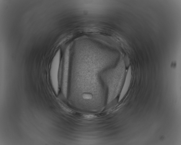 X0000091850333200710031646