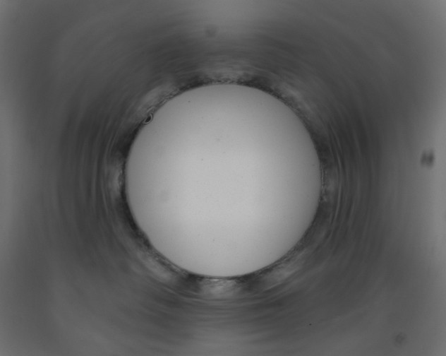 X0000091850334200710031646