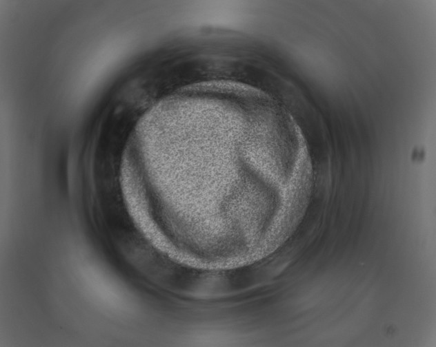 X0000091850335200710031646