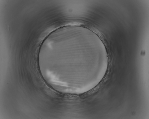 X0000091850337200710031645