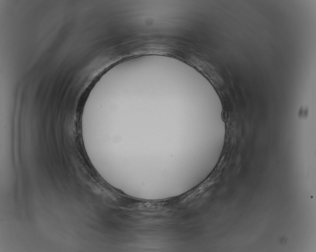 X0000091850338200710031646