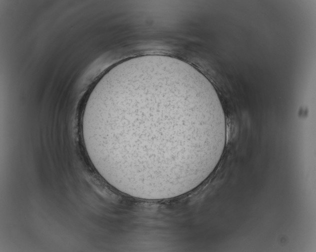 X0000091850339200710031646