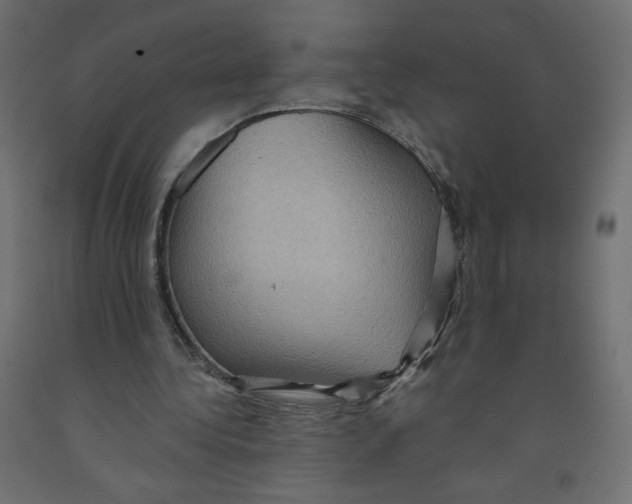 X0000091850340200710031646