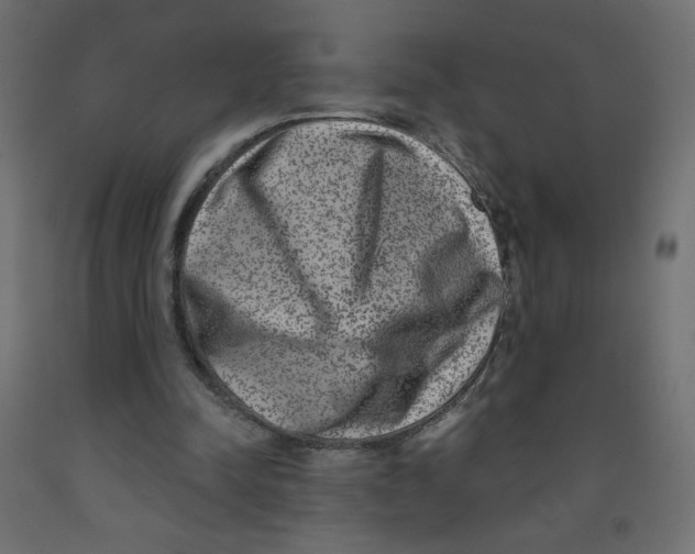 X0000091850342200710031646