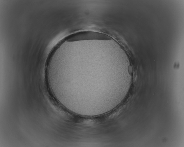 X0000091850344200710031646