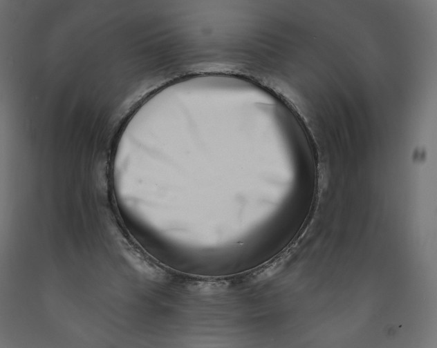 X0000091850345200710031646