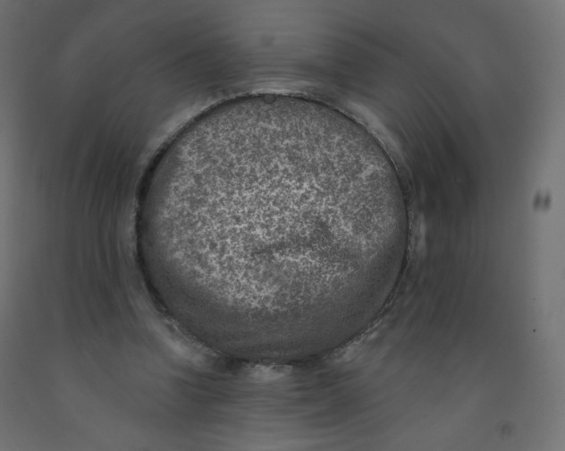 X0000091850346200710031646