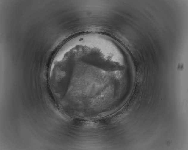 X0000091850347200710031646