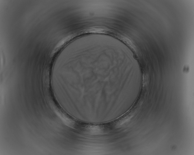 X0000091850349200710031646