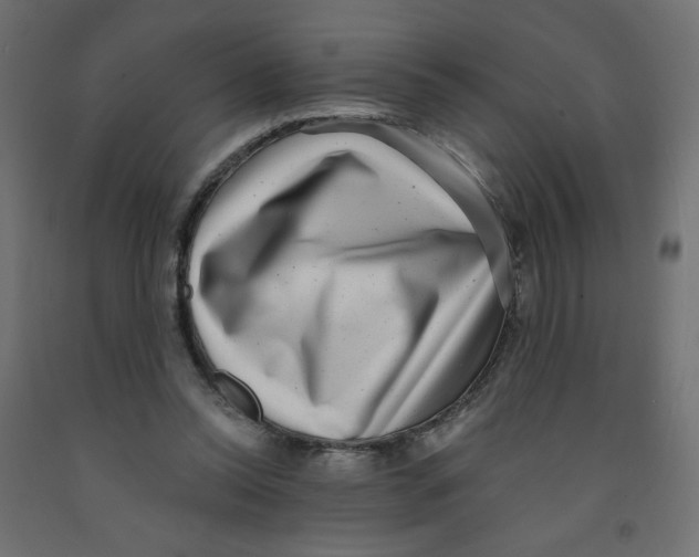 X0000091850350200710031646