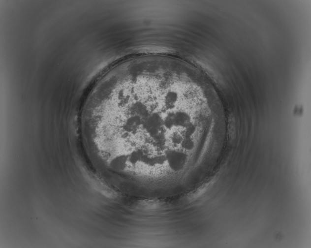 X0000091850351200710031646