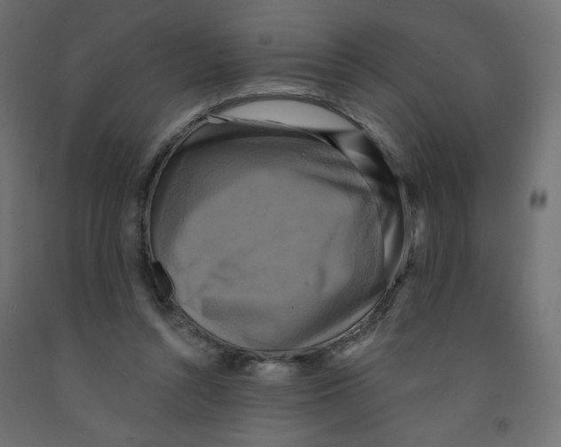 X0000091850352200710031646