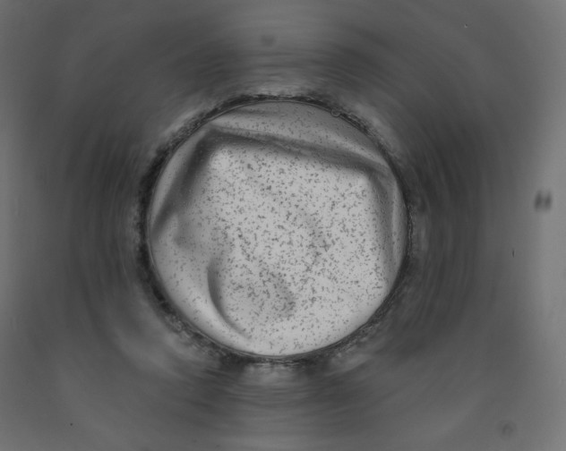 X0000091850354200710031646