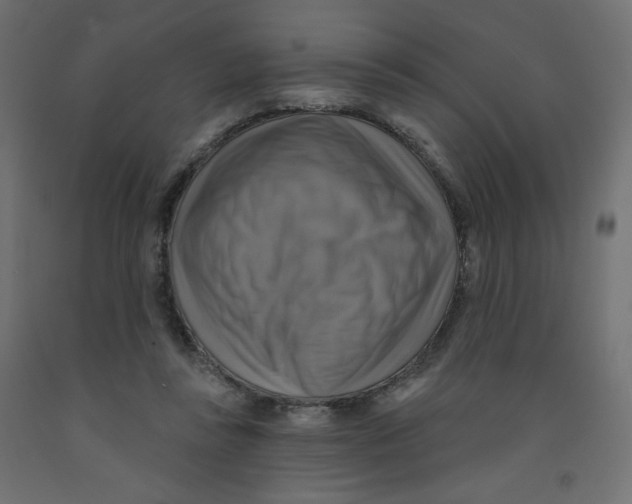 X0000091850355200710031646
