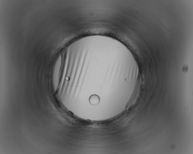 X0000091850356200710031646