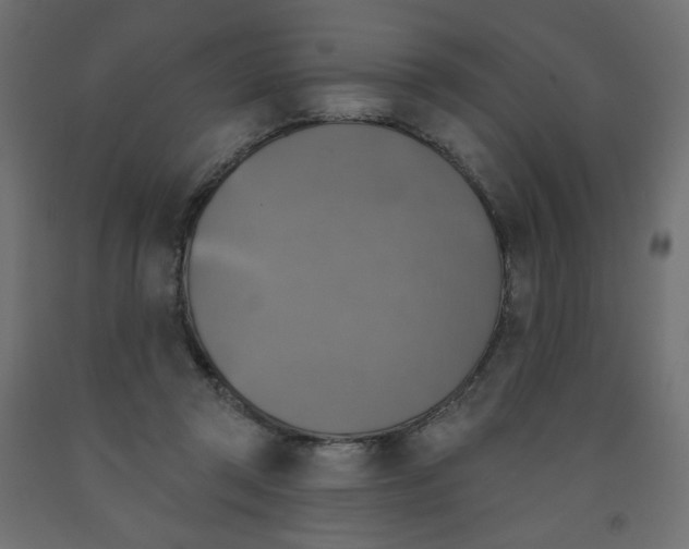 X0000091850357200710031646