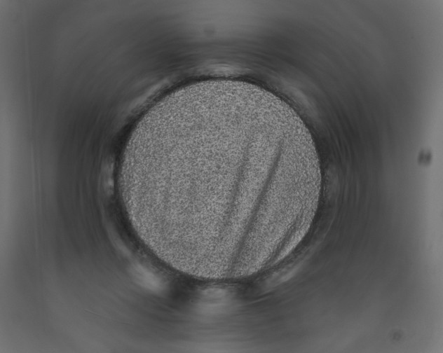 X0000091850358200710031646