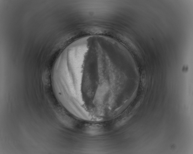 X0000091850359200710031646