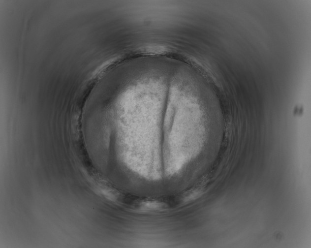 X0000091850360200710031646