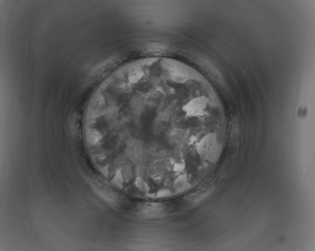 X0000091850361200710031646