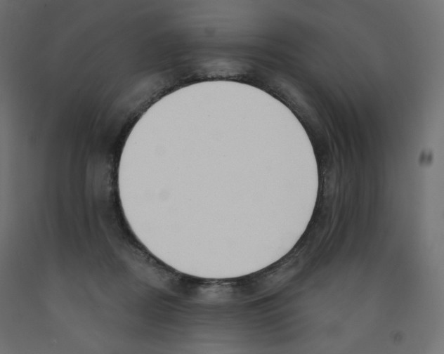 X0000091850362200710031646