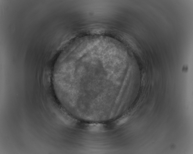 X0000091850363200710031646