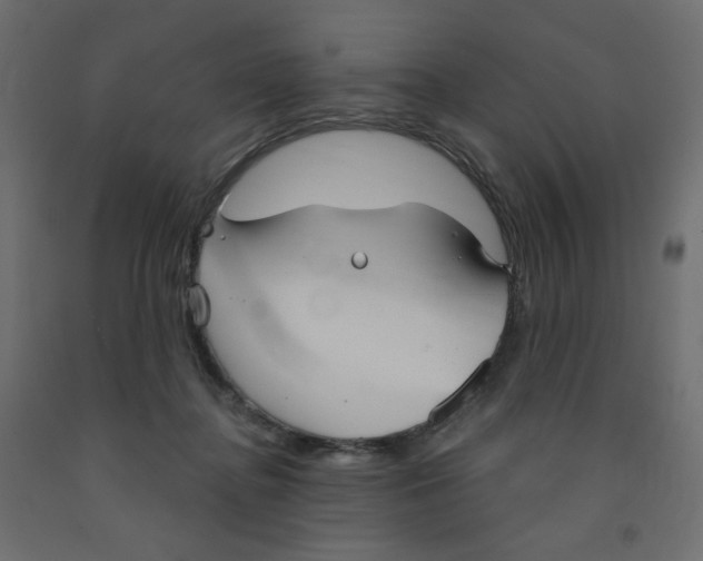 X0000091850364200710031646