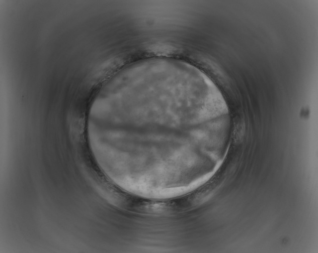 X0000091850365200710031646