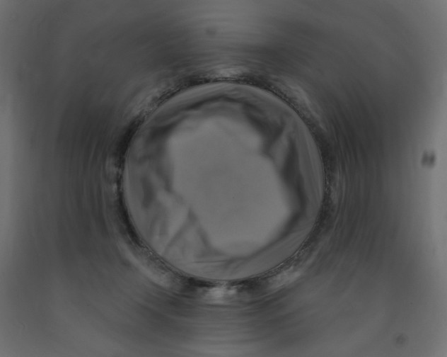 X0000091850366200710031646