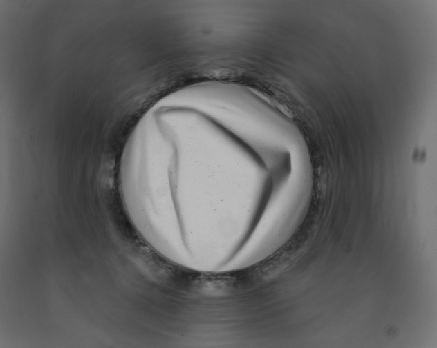 X0000091850368200710031646