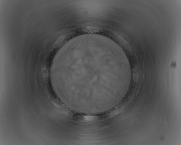 X0000091850371200710031646